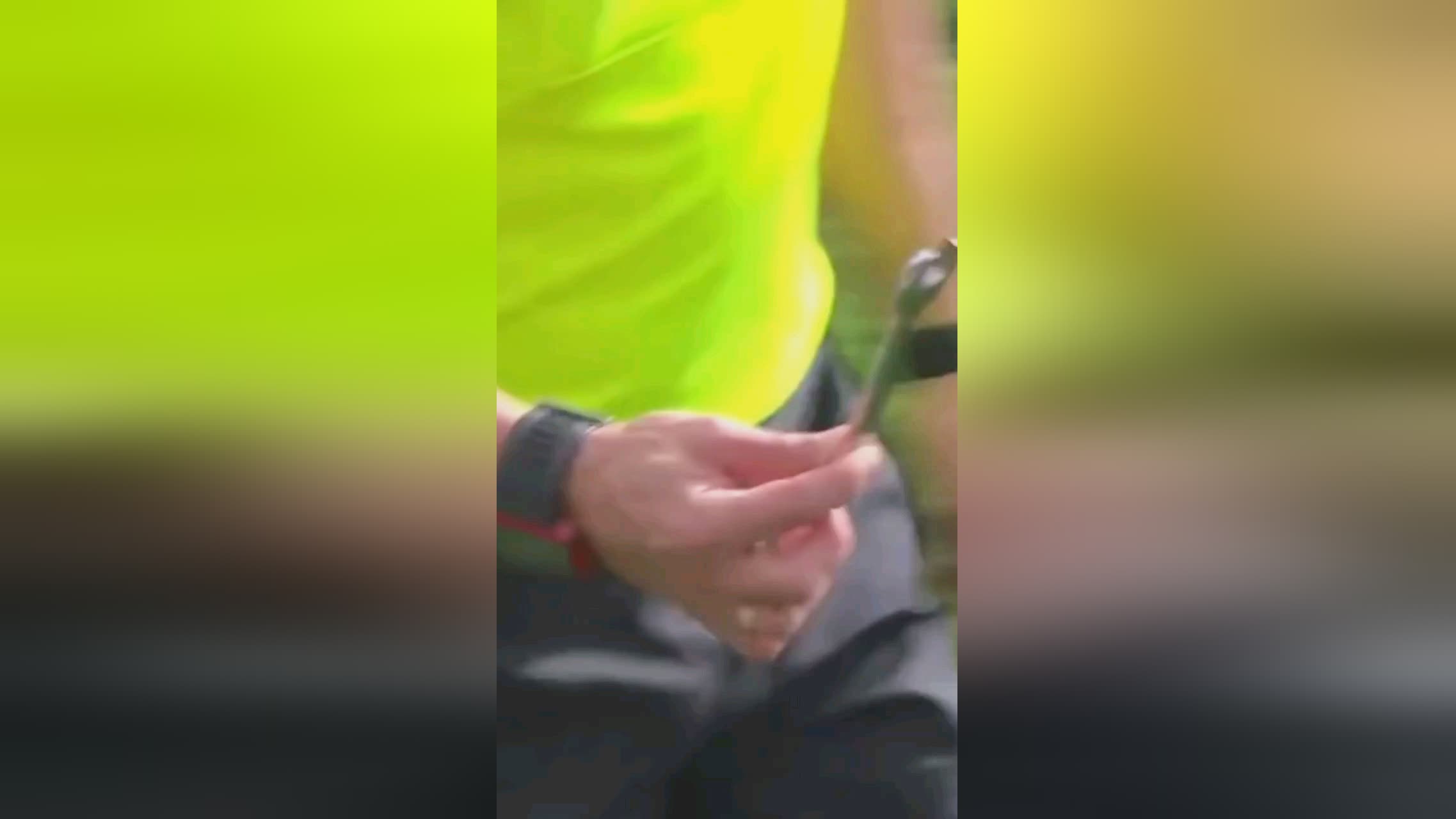 的战队