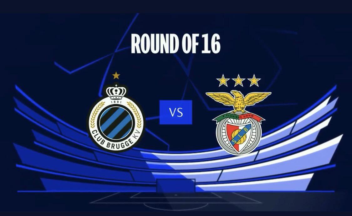 我们期待看 我们期待看